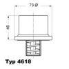 WAHLER 4618.70 Thermostat, coolant